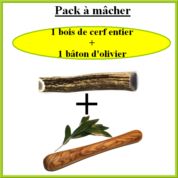 Pack : 1 bois de cerf entier + 1 bâton d\'olivier