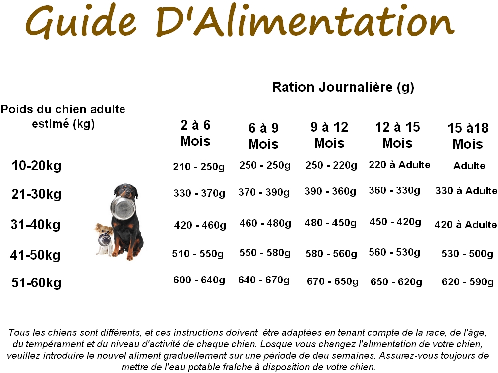 Guide alimentation chiot grande race saumon