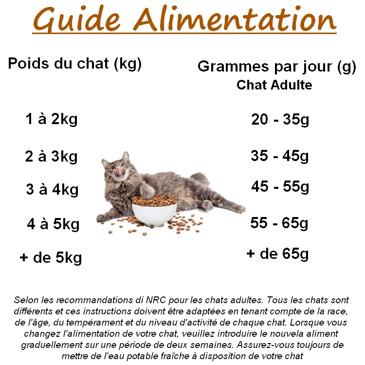 guide chat super premium poulet