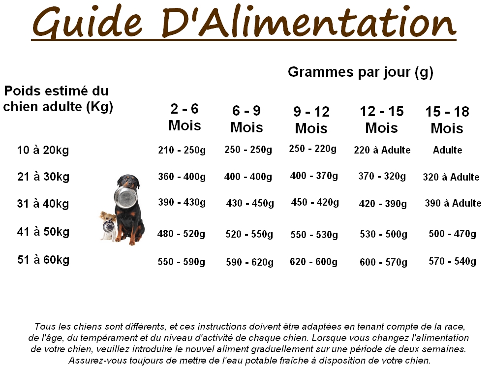 guide alimentation chiots grande race saumon