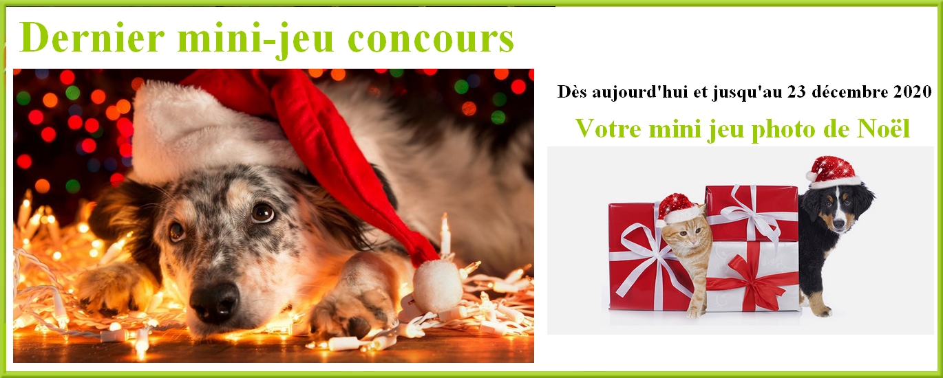L Arche Des Animaux 89