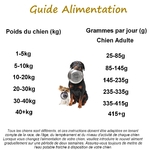 Guide alimentation saumon