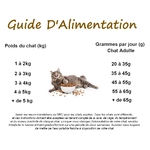 Guide alimentation chat saumon