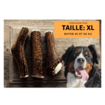 bois-de-cerf-entier-chien-taille-xl