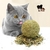 balle-herbe-a-chats-naturel-stimulant-et-nettoyant-chats