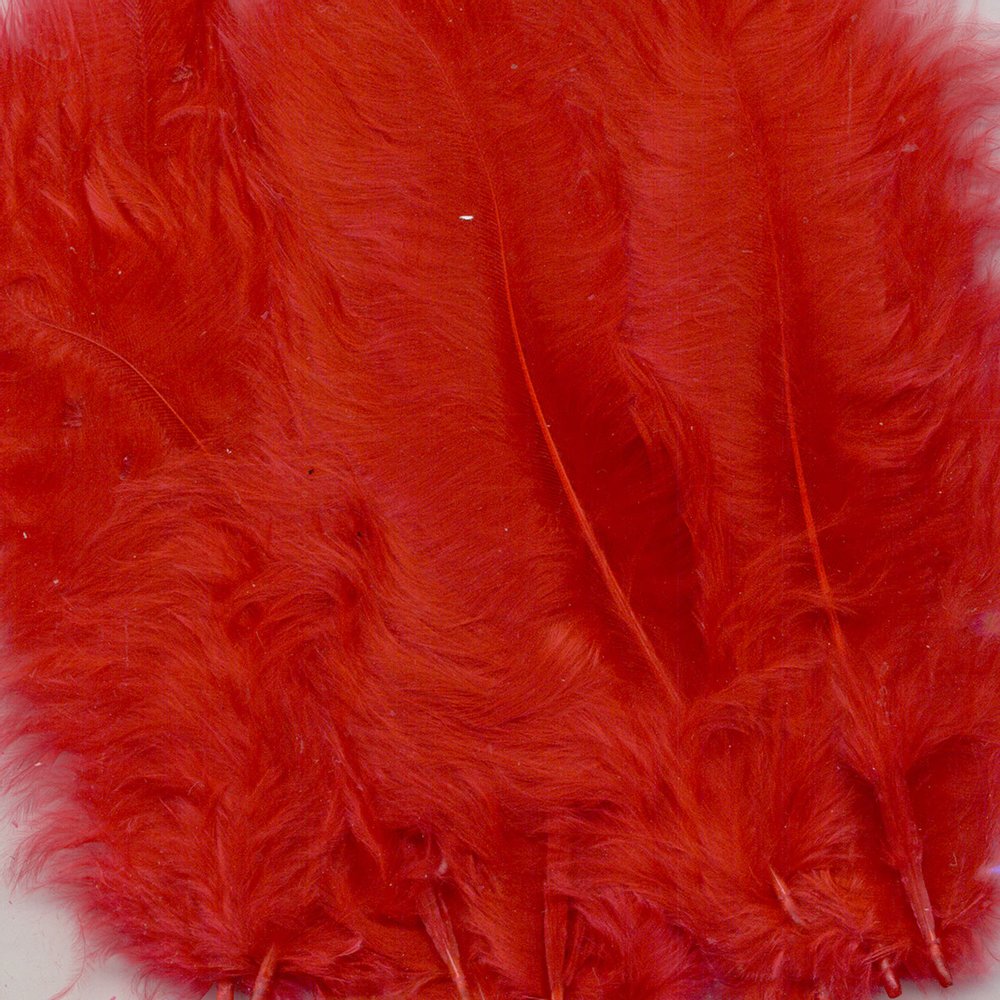 plumes marabout rouges