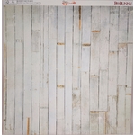ART1044-1885b