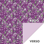 ART0263d
