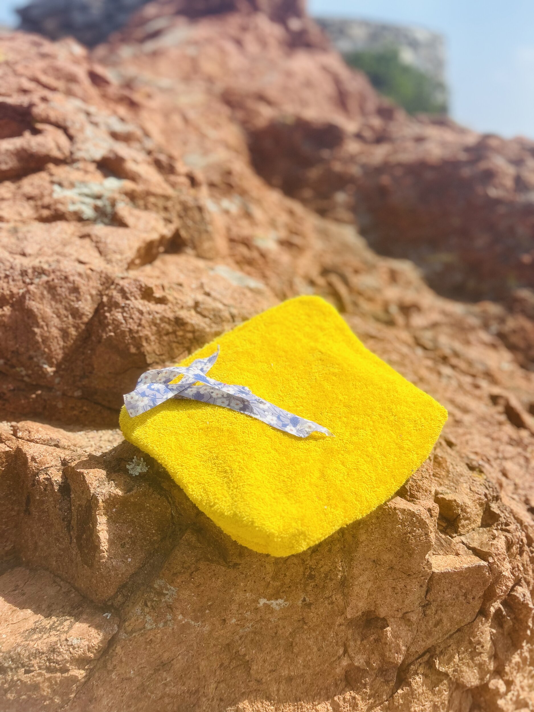 Pochette éponge jaune IMG_E3835