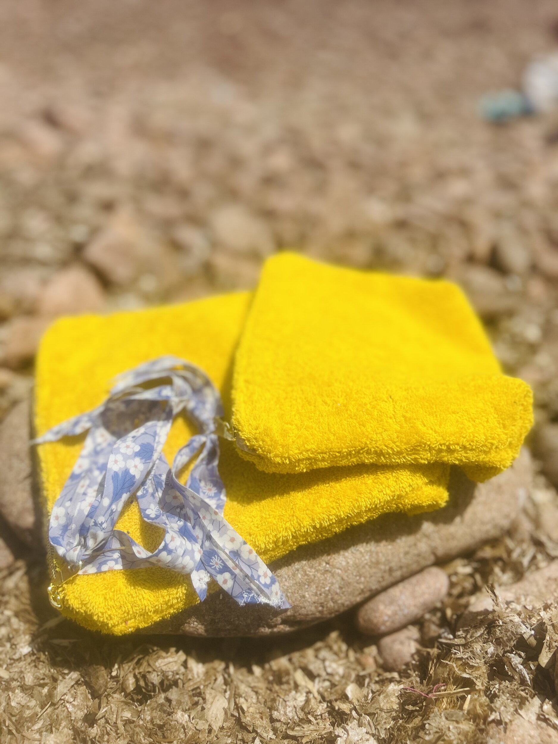 Pochette éponge jaune IMG_E3859