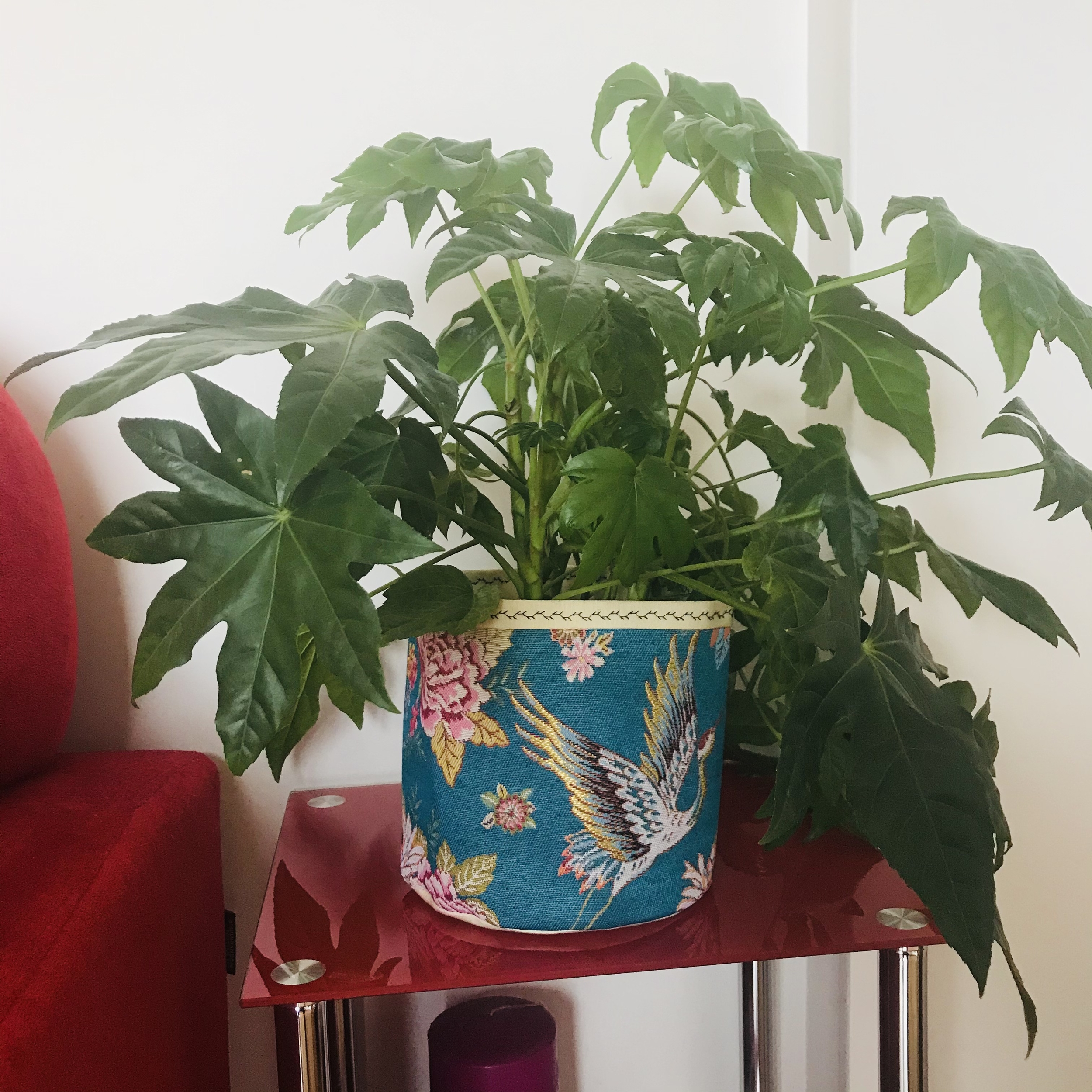 Cache pot sur mesure, Cécile, Paris