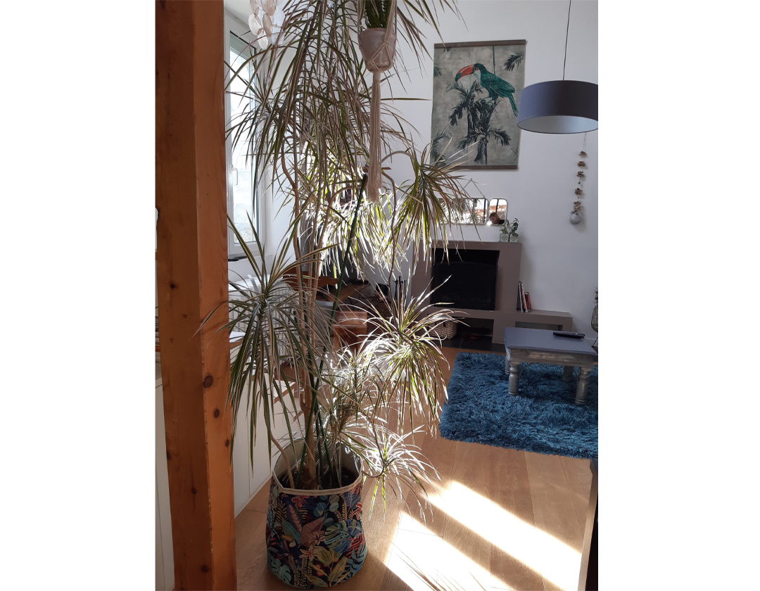 Cache pot sur mesure, Gaëlle, Nantes