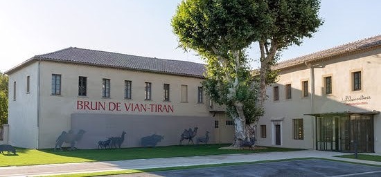 brun de vian tiran img 9836