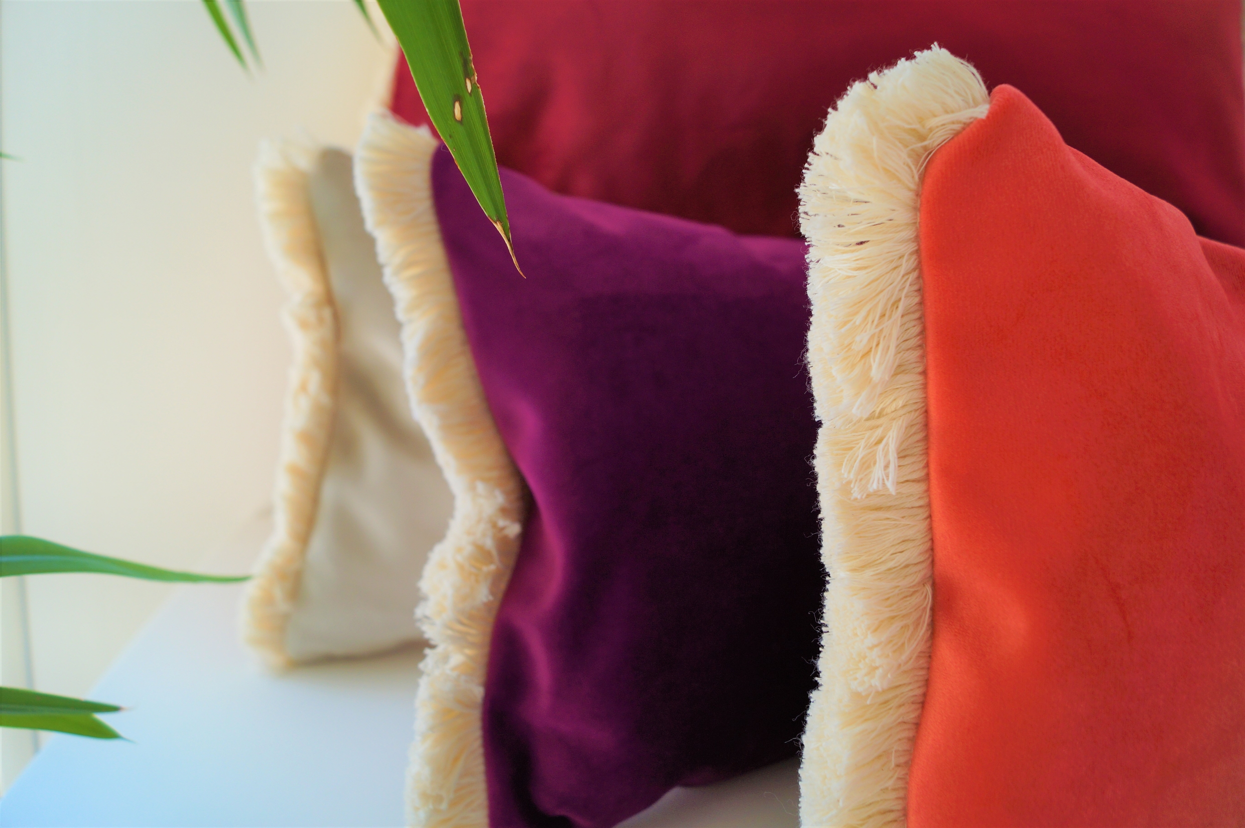 coussin velours bicolore a franges dsc02534