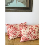coussin antique Victoria Feuille rouge IMG_E2031