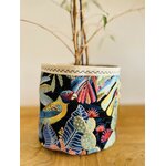 Petit cache pot tropical marine IMG_E5620