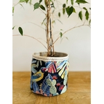 Petit cache pot tropical marine IMG_E5619