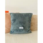 Coussin éponge Bambou vert IMG_E1160