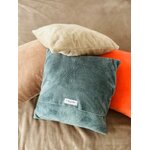 Coussin éponge Bambou vert IMG_E1219