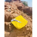 Pochette éponge jaune IMG_E3835