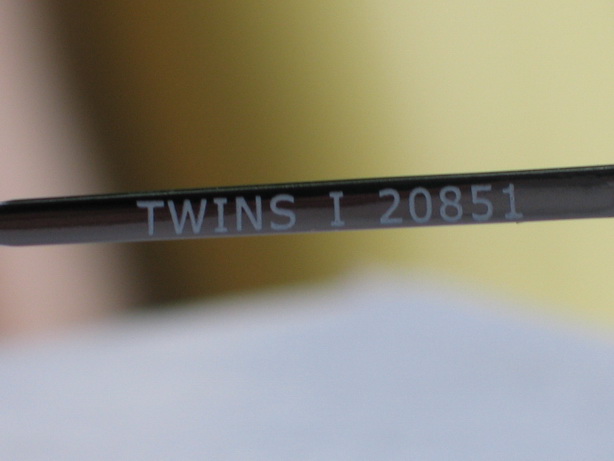 twins2