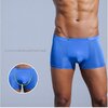 Boxeurs-en-soie-glac-e-en-nylon-tr-s-fins-sous-v-tements-masculins
