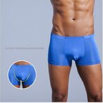 Boxeurs-en-soie-glac-e-en-nylon-tr-s-fins-sous-v-tements-masculins