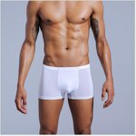 Boxeurs-en-soie-glac-e-en-nylon-tr-s-fins-sous-v-tements-masculins