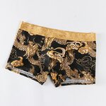 Boxer-en-coton-pour-homme-sous-v-tement-la-mode-imprim-Dragon-respirant-cale-on-taille