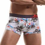 EXILIENS-nouveau-Boxer-pour-hommes-sous-v-tements-masculins-boxeurs-Hombre-Bokserki-Modal-cale-on-Cueca