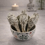 Purification Sauge Torche