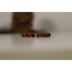 jaspe rouge oeil de tigre2