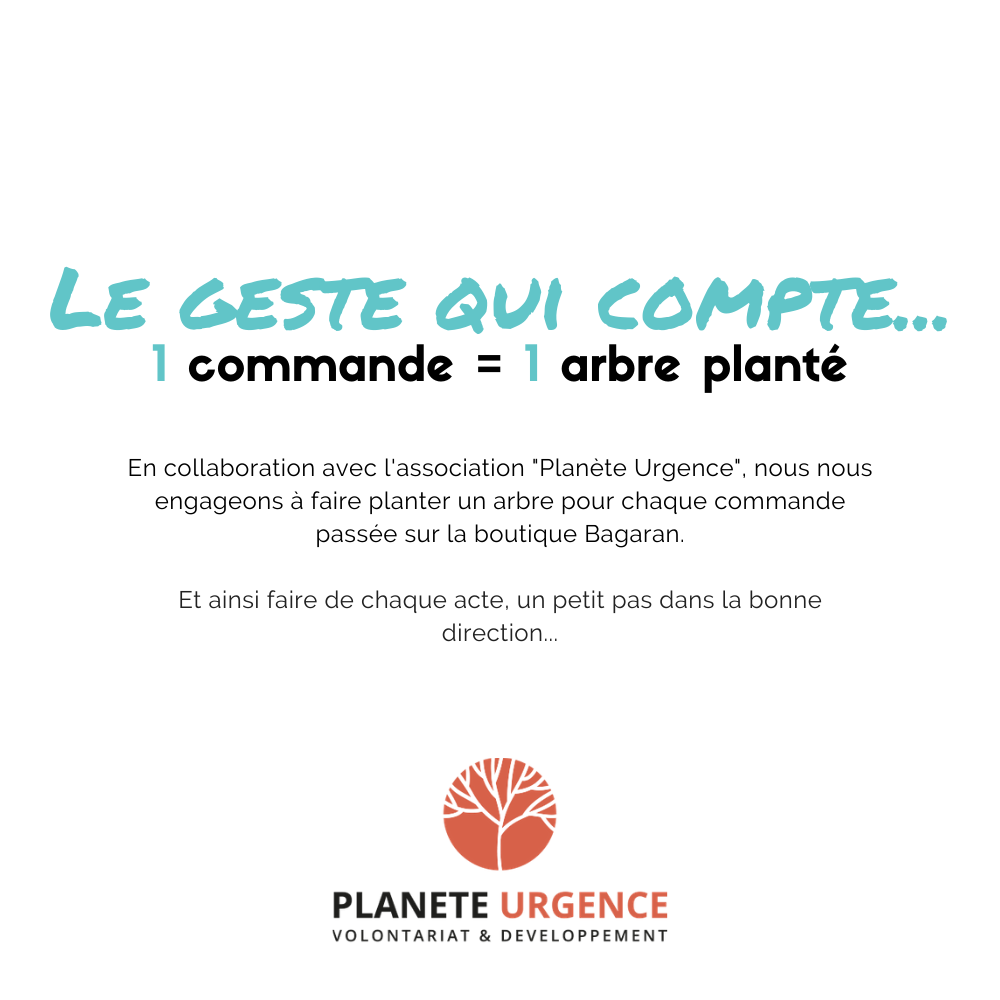 un arbre planté