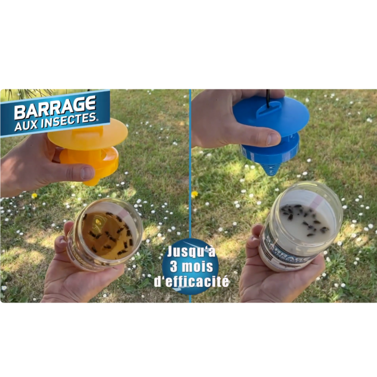 Piège à Guêpes Verre Kinzo X2 - Solution écologique Anti-guêpes Extérieur