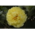 B5898D25-500D-4A3F-83AE-60AC188F435D