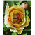 7D5BAEC3-DB4B-4BB7-8527-89433487300A