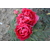 TOISHY RUBY
