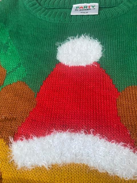 Pull de noel-SCM019-Zoom