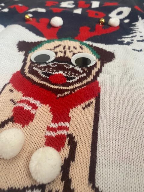 Pull de noel-SCM061-Zoom