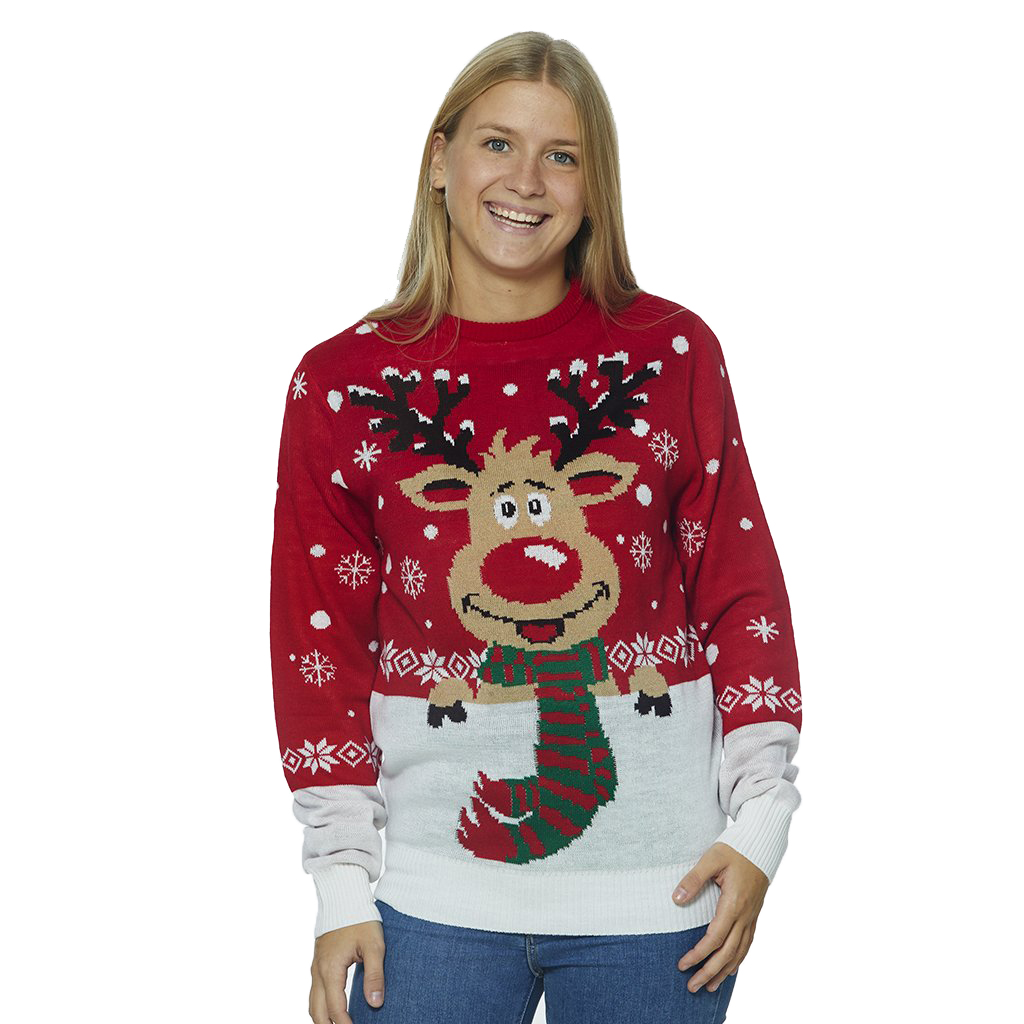 pull moche femme noel renne