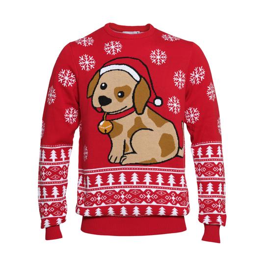 pull-de-noel-petit-chien