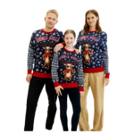LED1_pull de noel_famille