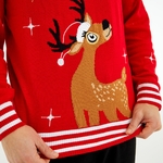 23ORGA12_pull de noel_zoom