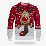 Pull de Noel-Rudolph