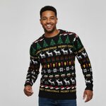 Pull de Noel-Dans les bois-Homme
