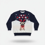 Pull de noel-SCM061