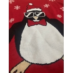 Pull de noel-SCM067-Zoom