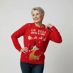 Pull de Noël_Il-est-passe-par-ici-Femme