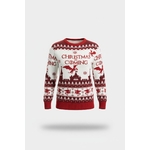 Pull-de-Noel-Christmas-is-coming