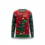 Pull de Noël %22T-rex%22